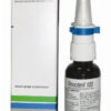 RINOCLENIL SPRAY 200ER100MCG
