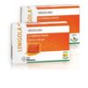 LENIGOLA OROSOLUBILI AGRUMI 20 Compresse