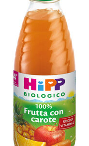 HIPP BIO SUCCO FRU/CAR 500ML