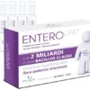 ENTEROLIFE 2 MLD 20F
