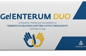 GELENTERUM DUO 12 bustine