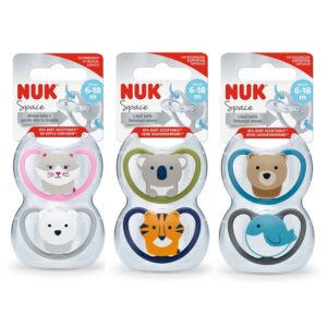 NUK SUCCHIETTO SPACESIL 6-18M