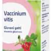 VACCINIUM VITIS MG 60ML