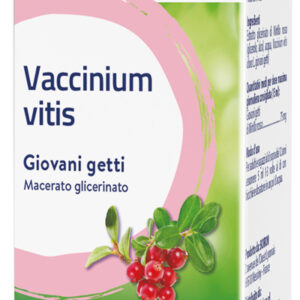 VACCINIUM VITIS MG 60ML