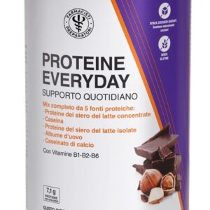 PROTEINE EVERYDAY 260G