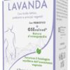 GSE INTIMO LAVANDA 4FL