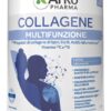 COLLAGENE MULTIFUNZIONE 260G