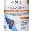 COLLAGENE ARTICOLAZIONIMUSC